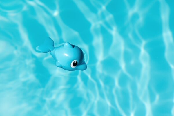 blue and white toy dolphin floating on water